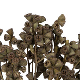 Vickerman Natural Botanicals 11" x 2-4" Conical Gum Branch