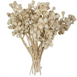 Vickerman Natural Botanicals 11" x 2-4" Conical Gum Branch, Bleached