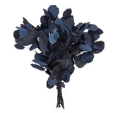 Vickerman Natural Botanicals 18-20" x 8" Eucalyptus Populus, 100 grams, Dark Blue, 3.5 oz