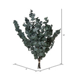 Vickerman Natural Botanicals 18-20" x 9" Eucalyptus Spiral, 100 grams
