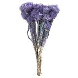 Vickerman 13-14" Natural Everlasting Flowers, Dried, Light Purple