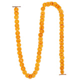 Vickerman 10' Natural Dried Grapefruit Garland, 10'