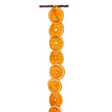 Vickerman 10' Natural Dried Grapefruit Garland