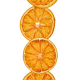 Vickerman 10' Natural Dried Grapefruit Garland