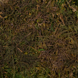 Vickerman Sheet Moss, Preserved