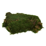 Vickerman Sheet Moss, Preserved, 8oz Bag