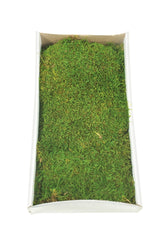 Vickerman Sheet Moss, Preserved, Tray