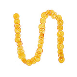 Vickerman 10' Natural Dried Orange Garland, 10'
