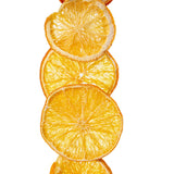 Vickerman 10' Natural Dried Orange Garland