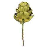 Vickerman 8" Queen Flower Stem, Dried, Basil
