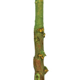 Vickerman 8" Queen Flower Stem, Dried