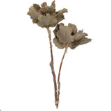 Vickerman Natural Botanicals 14" x 6" Queen Flower Small 2 heads, 14" x 6"