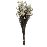 Vickerman 16" Rice FlowerPreserved, White