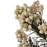 Vickerman 16" Rice FlowerPreserved