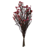 Vickerman 16" Rice FlowerPreserved, Pink