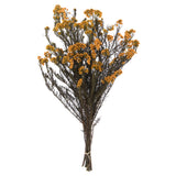 Vickerman 16" Rice FlowerPreserved, Autumn