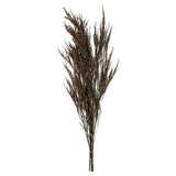 Vickerman Green Reed Grass Bundle, 36-40"