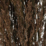 Vickerman Green Reed Grass Bundle