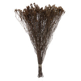 Vickerman Natural Botanicals 19" x 4" Staavia, 100 grams, Natural