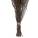 Vickerman Natural Botanicals 19" x 4" Staavia, 100 grams