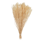 Vickerman Natural Botanicals 19" x 4" Staavia, 100 grams, Bleached