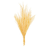 Vickerman 18" Natural Dried Bleached Stoebe Bunch, 18"