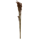 Vickerman Natural Botanicals 33" x 5" Thatch Reed 100 grams, 33" x 5"