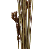 Vickerman Natural Botanicals 33" x 5" Thatch Reed 100 grams