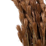 Vickerman Natural Botanicals 33" x 5" Thatch Reed 100 grams