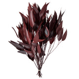 Vickerman Natural Botanicals Red Eucalyptus Willow, 18-20" x 8"