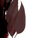 Vickerman Natural Botanicals Red Eucalyptus Willow