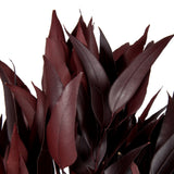 Vickerman Natural Botanicals Red Eucalyptus Willow