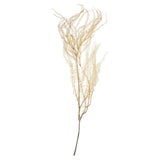 Vickerman 26" Bleached Andares Fern, Dried, 26"