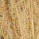 Vickerman 26" Bleached Andares Fern, Dried