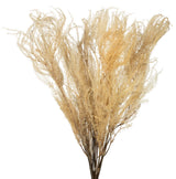 Vickerman 26" Bleached Andares Fern, Dried