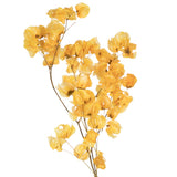 Vickerman Cara Blossom Spray, Aspen Gold