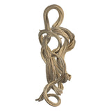 Vickerman 13" Coiled Vine, Dried, Bleached