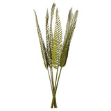 Vickerman 38-48" Basil Coco Palm, Designer Cut, Dried, 38-48"