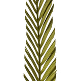 Vickerman 38-48" Basil Coco Palm, Designer Cut, Dried