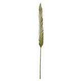 Vickerman 38-48" Basil Coco Palm, Designer Cut, Dried