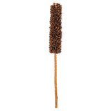 Vickerman 18" Dried Cirius Stem, 6, Natural