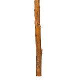 Vickerman 18" Dried Cirius Stem, 6