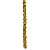 Vickerman 18" Dried Cirius Stem, 6