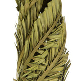 Vickerman 40-48" Twisted Coco Palm Stems, Dried