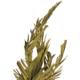 Vickerman 40-48" Twisted Coco Palm Stems, Dried