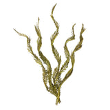 Vickerman 40-48" Twisted Coco Palm Stems, Dried