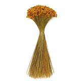 Vickerman 14" Dried Hil Flower Bunch, Natural