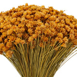 Vickerman 14" Dried Hil Flower Bunch