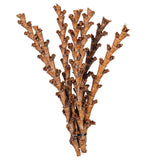 Vickerman 18" Dried Natural Buriti Twig 18, 18"