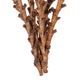 Vickerman 18" Dried Natural Buriti Twig 18